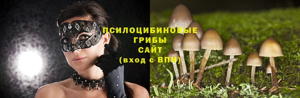 мет Пересвет