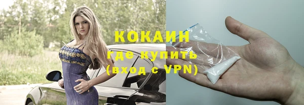 мет Пересвет