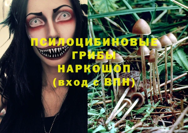 прущая мука Переславль-Залесский