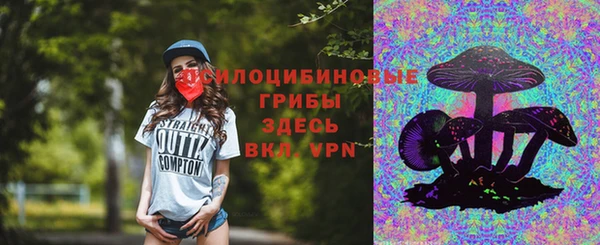 мет Пересвет