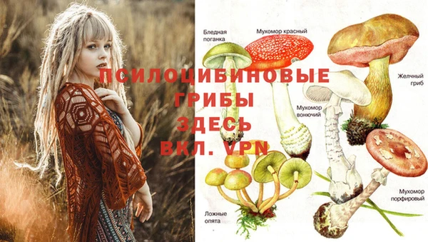 каннабис Пестово