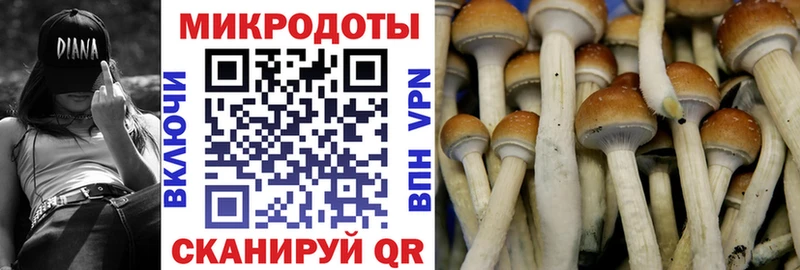 Псилоцибиновые грибы Magic Shrooms  Холм 